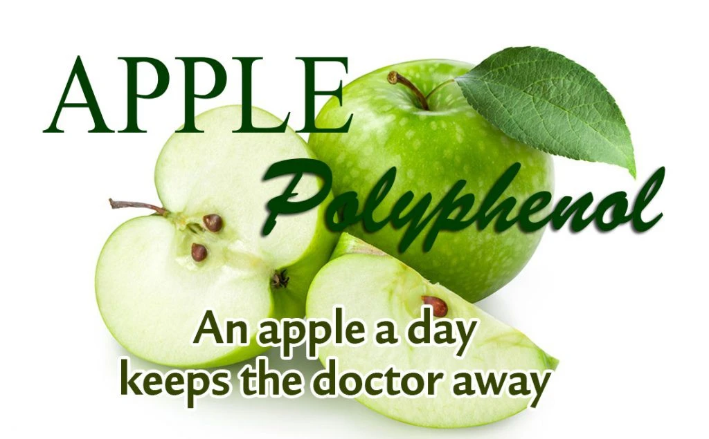 Apple Polyphenol Extract.webp